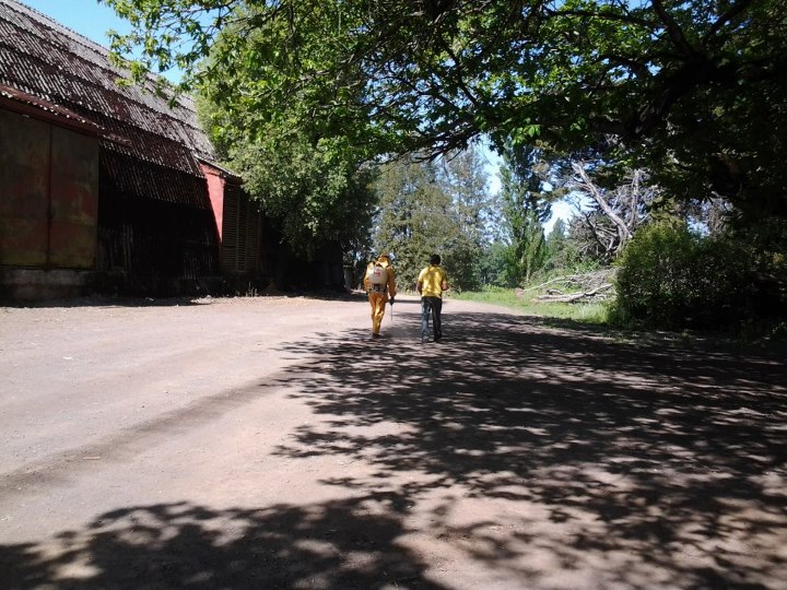 Plaguicidas Oct 2011